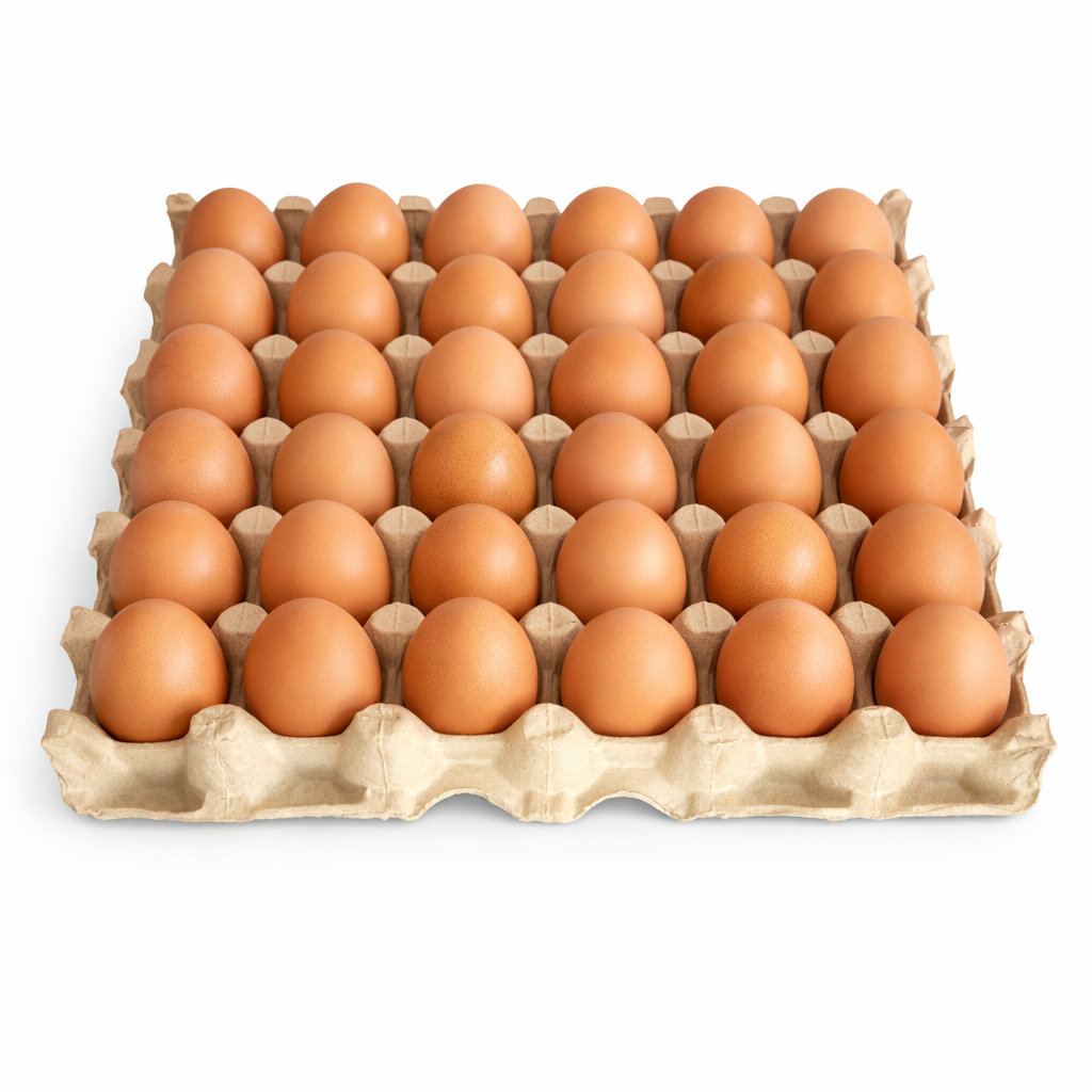 egg trays